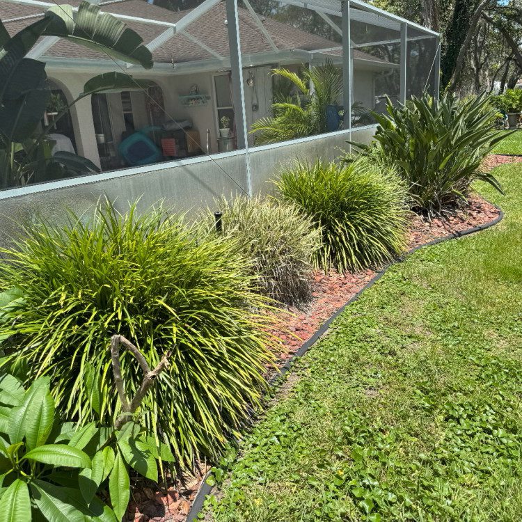 Lanai Screen Solutions in Florida Lanai Screen Solutions in Florida