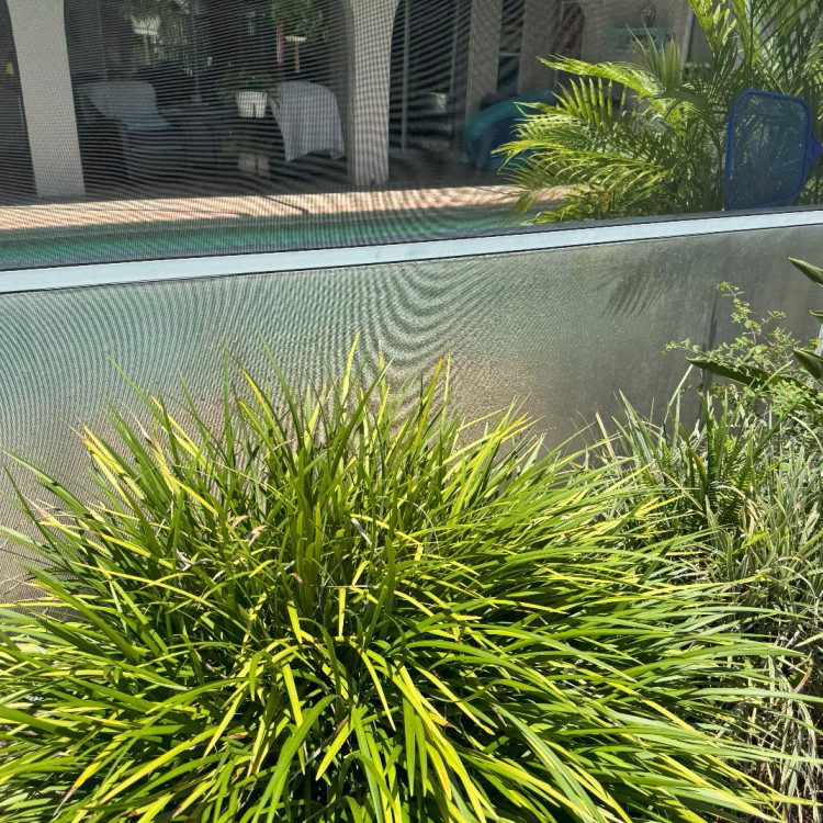 Lanai Screen Solutions in Florida
