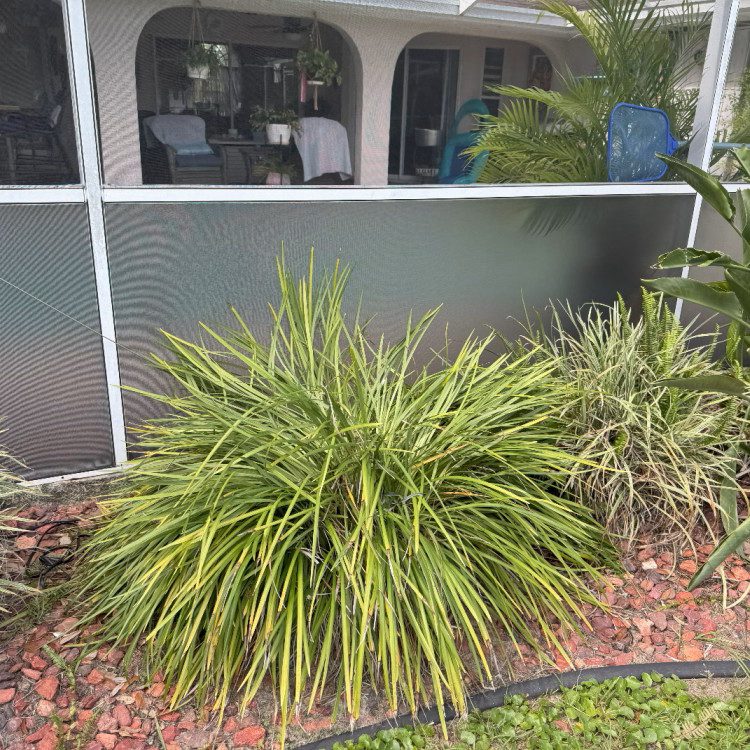 Lanai Screen Solutions in Florida Lanai Screen Solutions in Florida