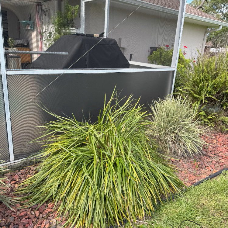 Lanai Screen Solutions in Florida Lanai Screen Solutions in Florida